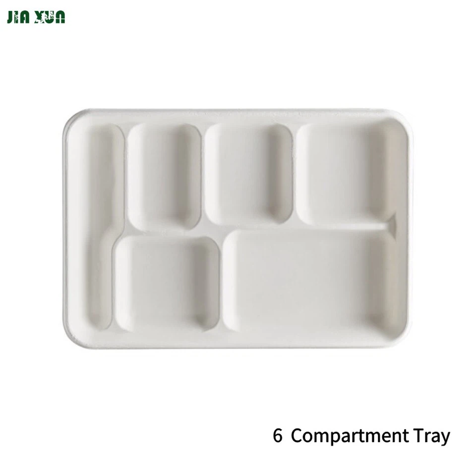 Rectangular White Bagasse Tray
